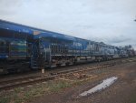 RUMO 2556